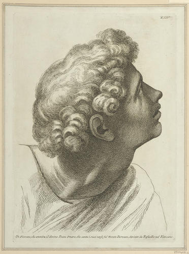 Master: Set of twenty-four heads from the 'Parnassus'
Item: Head of a youth [from the 'Parnassus']