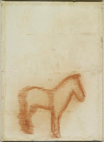 A horse in left profile, with measurements