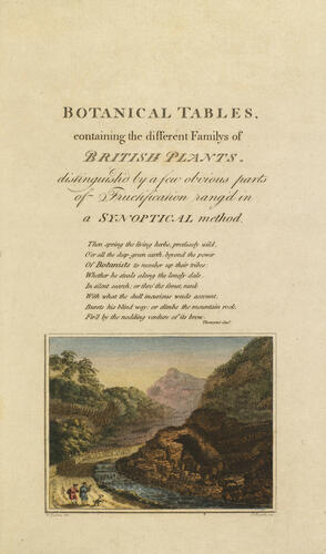 Botanical tables : containing the different familys of British plants : distinguished by a few obvious parts of fructification rang'd in a synoptical method ; [v. 1 / by John Stuart, Earl of Bute]