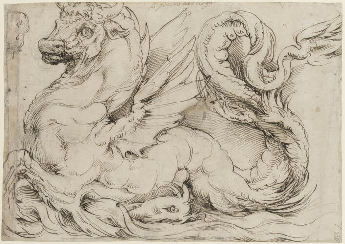 A sea-monster