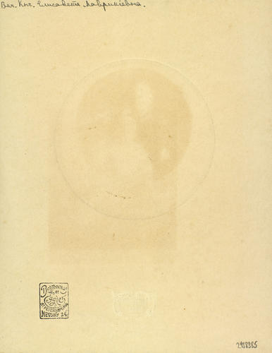 Grand Duchess Elisabeth Mavrikievna (1865-1927) Grand Duchess Elisabeth Mavrikievna (1865-1927)
