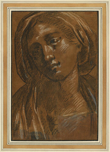 The head of a young woman looking downwards The head of a young woman looking downwards