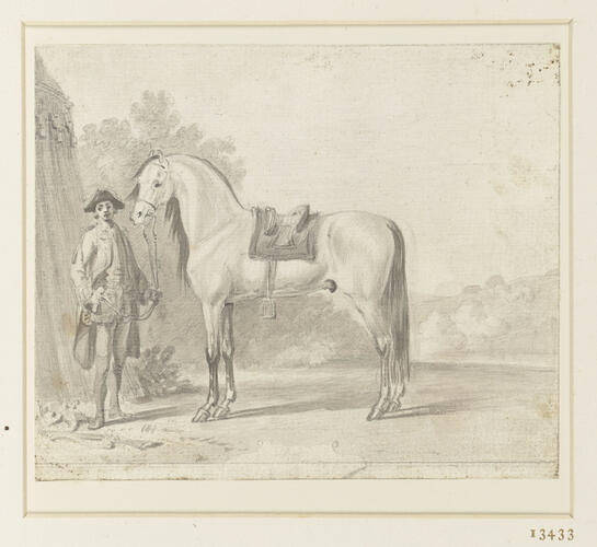 The Managed Horse The Managed Horse