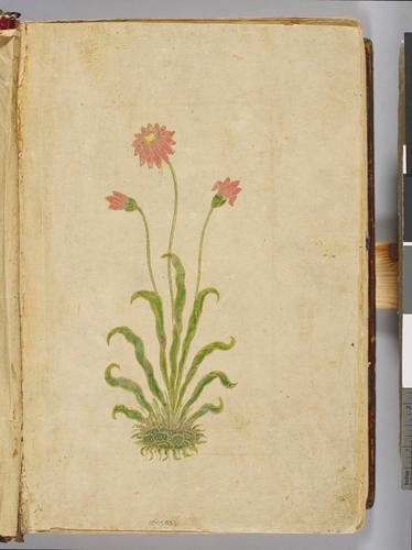 Divan-i Navai دیوان نوایی (The Collected Works of Navai) Divan-i Navai دیوان نوایی (The Collected Works of Navai)