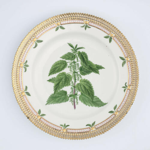 Master: Set of dinner plates
Item: Urtica diveca