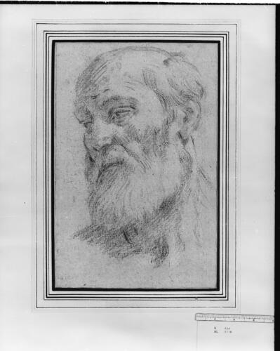 The head of a bearded man