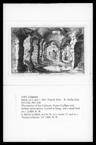 Roman Ruins - Coliseum Roman Ruins - Coliseum