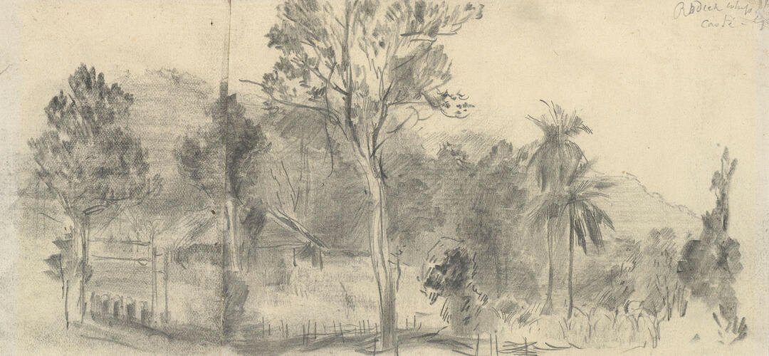 The Prince of Wales Visit to India 1876