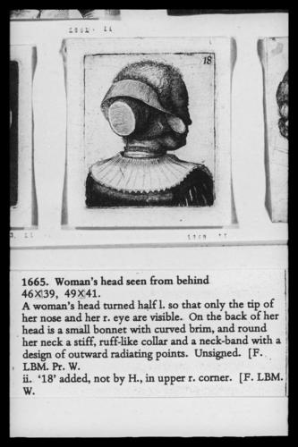 Woman's head seen from behind Woman's head seen from behind