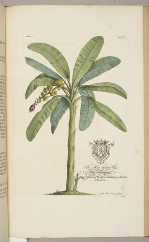 The Natural history of Barbados, in ten books / by Rev. Griffith Hughes The Natural history of Barbados, in ten books / by Rev. Griffith Hughes