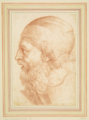 A bearded head in a cap A bearded head in a cap