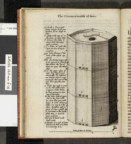 The reformed common wealth of bees; presented in severall letters and observations to Sammuel Hartlib esq. with the reformed Virginian silkworm. . The reformed common wealth of bees; presented in severall letters and observations to Sammuel Hartlib esq. with the reformed Virginian silkworm. .