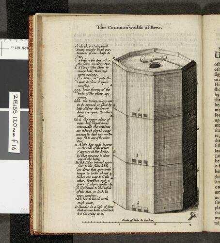 The reformed common wealth of bees; presented in severall letters and observations to Sammuel Hartlib esq. with the reformed Virginian silkworm. .