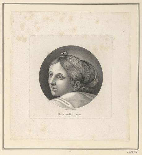 Head of a woman with her hair held in a net [from 'The Expulsion of Heliodorus from the Temple']