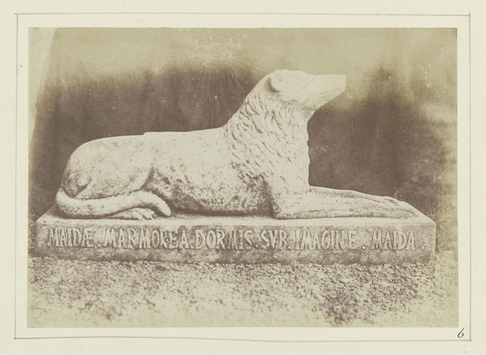 Effigy of Sir W. Scott's favourite dog Maida, by the side of the hall door at Abbotsford [Sun Pictures In Scotland]