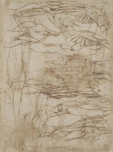 Anatomical figures