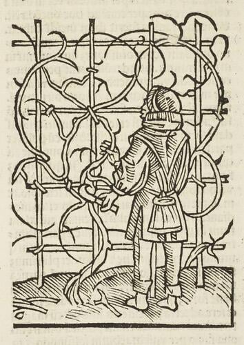 Ruralia commoda / Petrus de Crescentiis Ruralia commoda / Petrus de Crescentiis