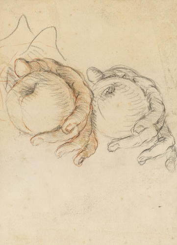 Studies of a hand holding an apple Studies of a hand holding an apple