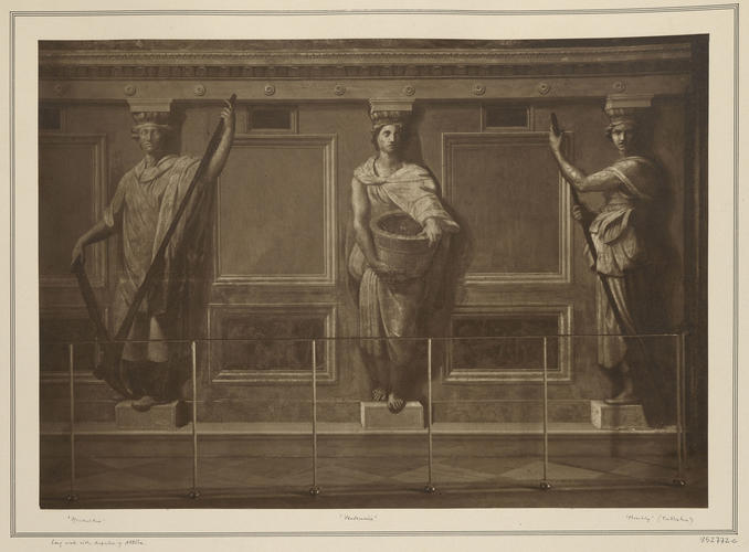 Master: Set of photographs of fictive herms and caryatids in the Stanza di Eliodoro
Item: Portion of the dado decoration in the Stanza di Eliodoro Master: Set of photographs of fictive herms and caryatids in the Stanza di Eliodoro
Item: Portion of the dado decoration in the Stanza di Eliodoro