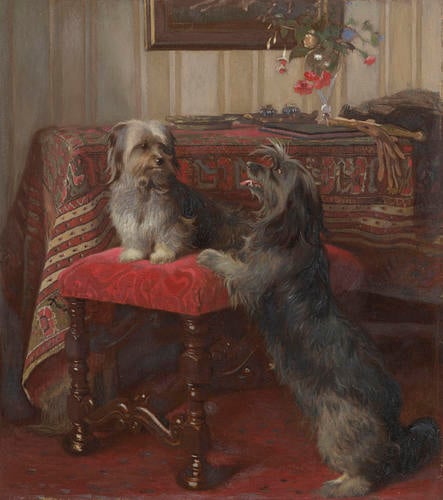 Dot and Cairnach