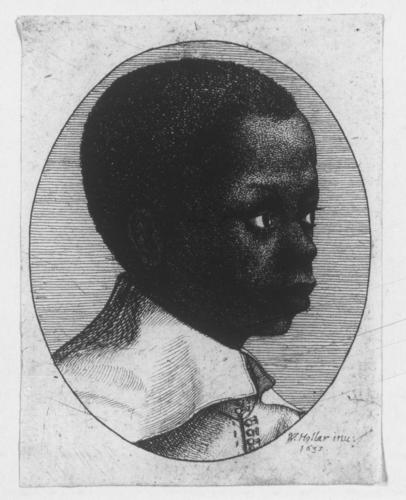 Head of a young Black boy
