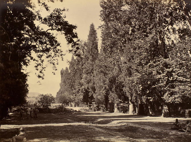 Garden near Gandamak Garden near Gandamak