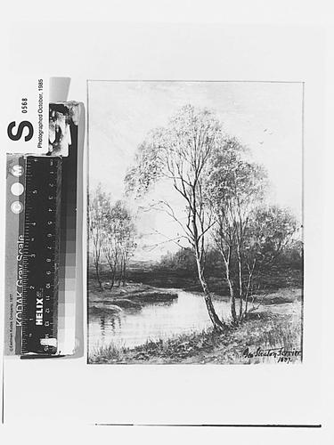 Highland Birches Highland Birches