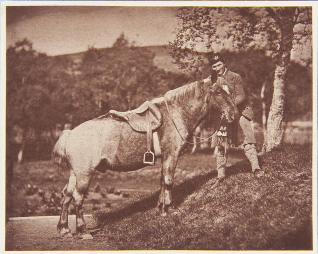 'The Prince's Highland poney [sic] and Campbell'