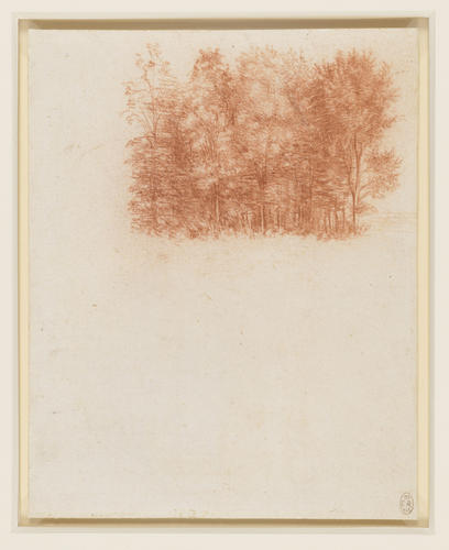 Recto: A stand of trees. Verso: A tree