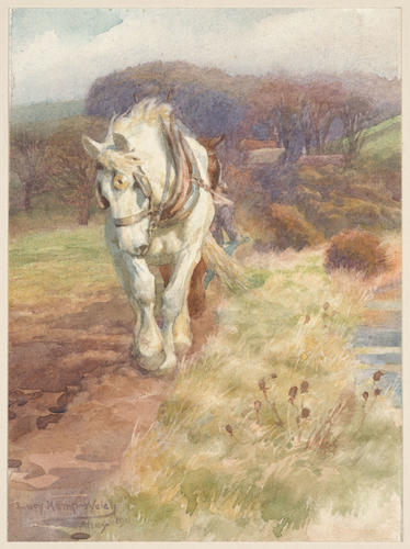A farm horse pulling the plough A farm horse pulling the plough