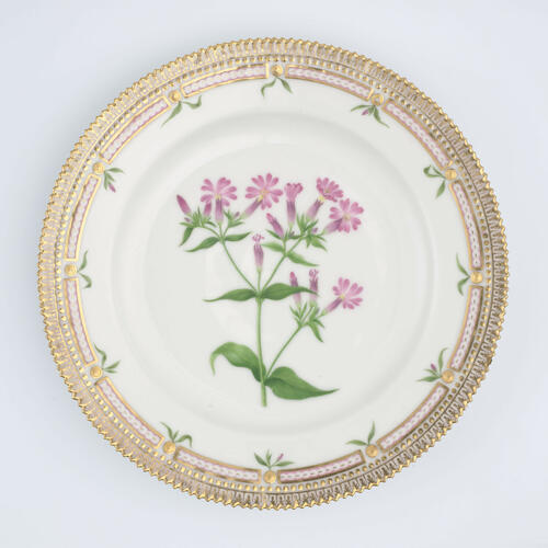 Master: Set of dinner plates
Item: Melandrium diurnum