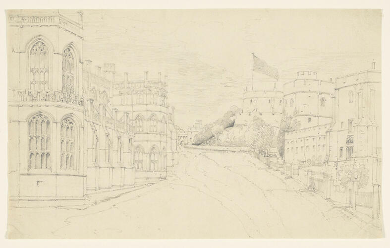 917535.jpg