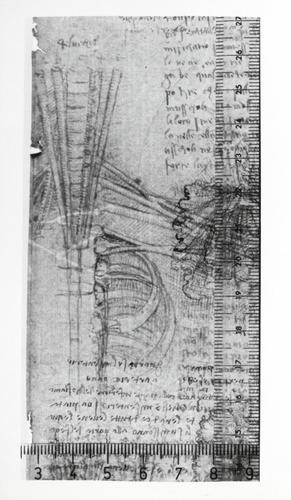 Recto: The mesentery of the bowel and its blood supply, with notes. Verso: The brachial plexus