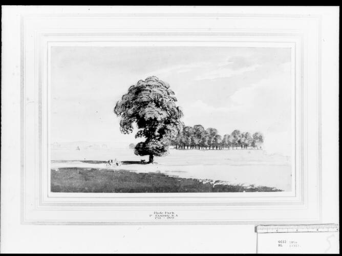In Hyde Park