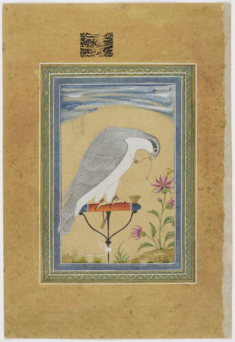 Master: Mughal album of portraits, animals and birds.
Item: Painting of a falcon and portrait of Kam Bakhsh