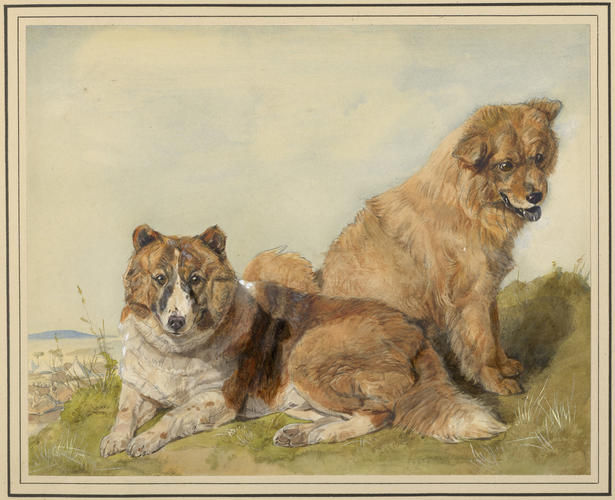 Stewart and Hong Choo
