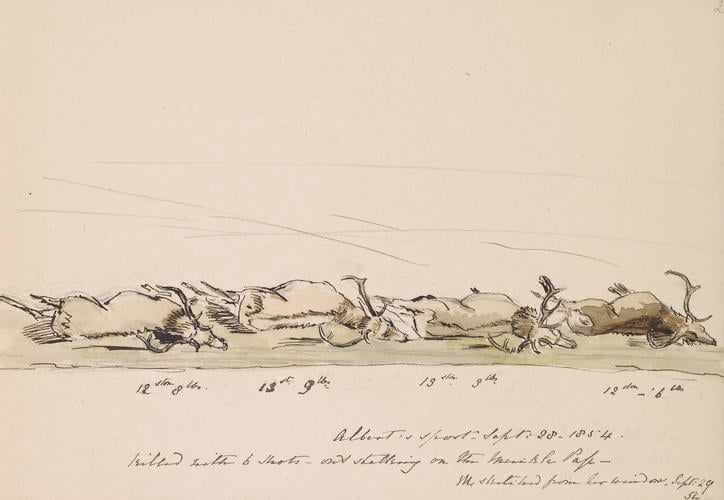 Item: Albert's sport - Sept: 28 - 1854
