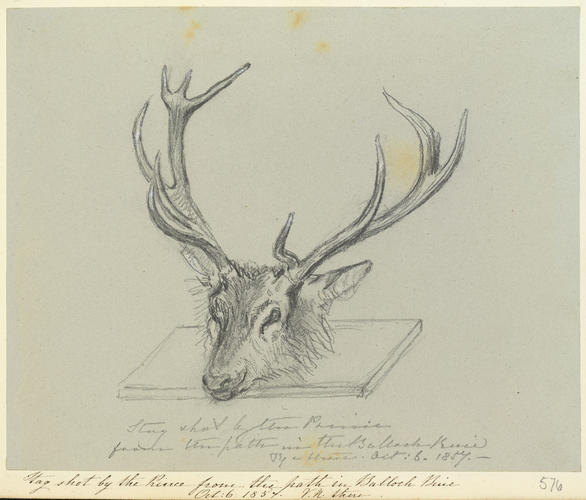 Stag shot by the Prince from the path in the Balloch Buie Oct: 6 1857