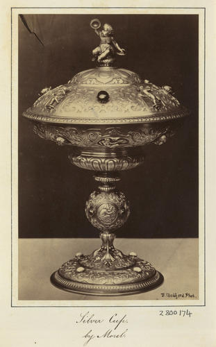 'Silver Cup by Morel' 'Silver Cup by Morel'