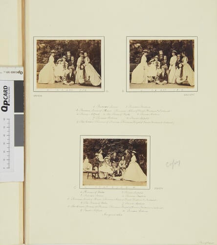 The nine children of Queen Victoria and the Prince Consort at the Rosenau, Coburg, 1865 [in Portraits of Royal Children Vol. 9 1865]