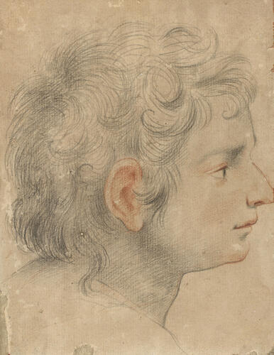 Head of a boy in profile Head of a boy in profile