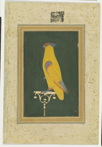 Master: Mughal album of portraits, animals and birds.
Item: Paintings of a lady at her toilette and a parrot