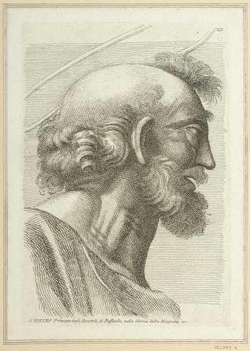 Master: Set of twenty-seven heads from 'The Disputa'
Item: Head of St Peter [from 'The Disputa']
