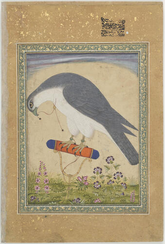 Mughal album of portraits, animals and birds