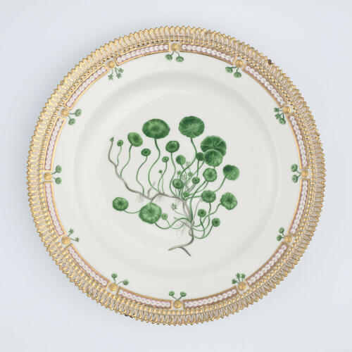 Master: Set of dinner plates
Item: Hydrocotyle vulgaris