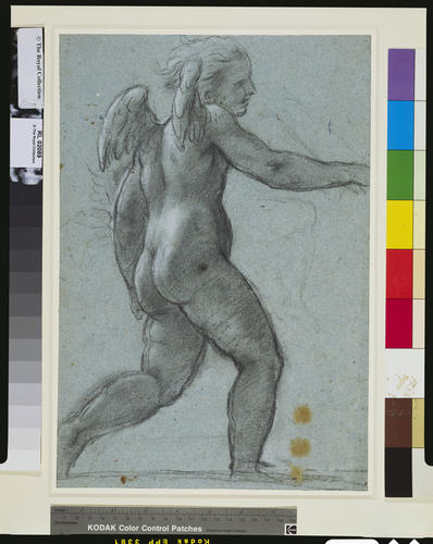 Cupid