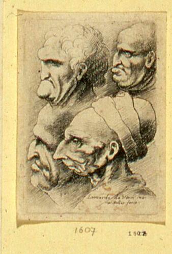 Four male heads