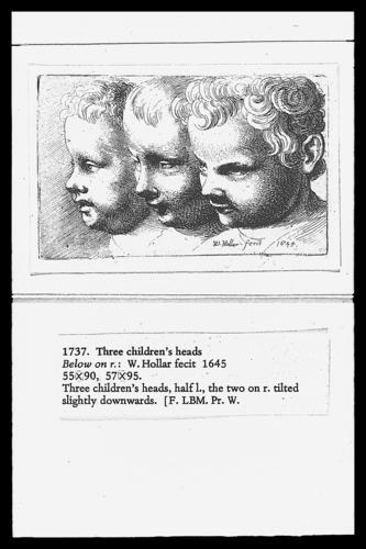 3 children's heads