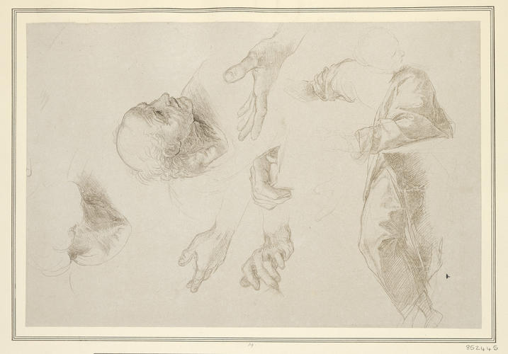 Studies of heads, hands and drapery for the left-hand group in the 'Disputa'