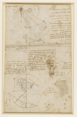 Recto: A rearing horse, and heads of horses, a lion and a man. Verso: Notes and diagrams on astronomy and geometry, and the head of a horse